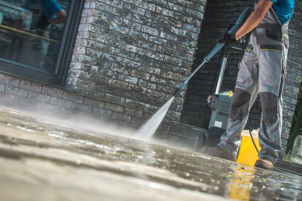 Boat and Dock Cleaning in Colonial Heights, TN