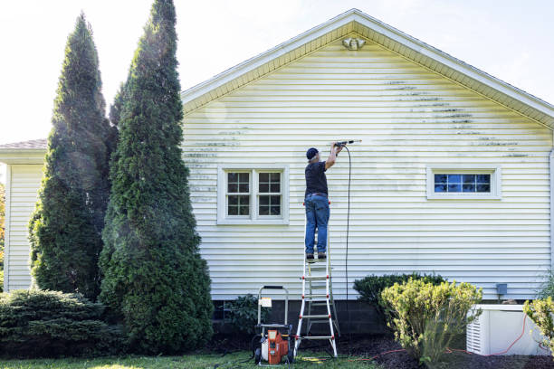 Best House Exterior Washing  in Colonial Heights, TN